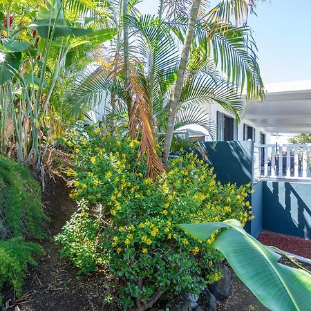 Villa Leu Seaview แซ็งต์-เลอ ภายนอก รูปภาพ